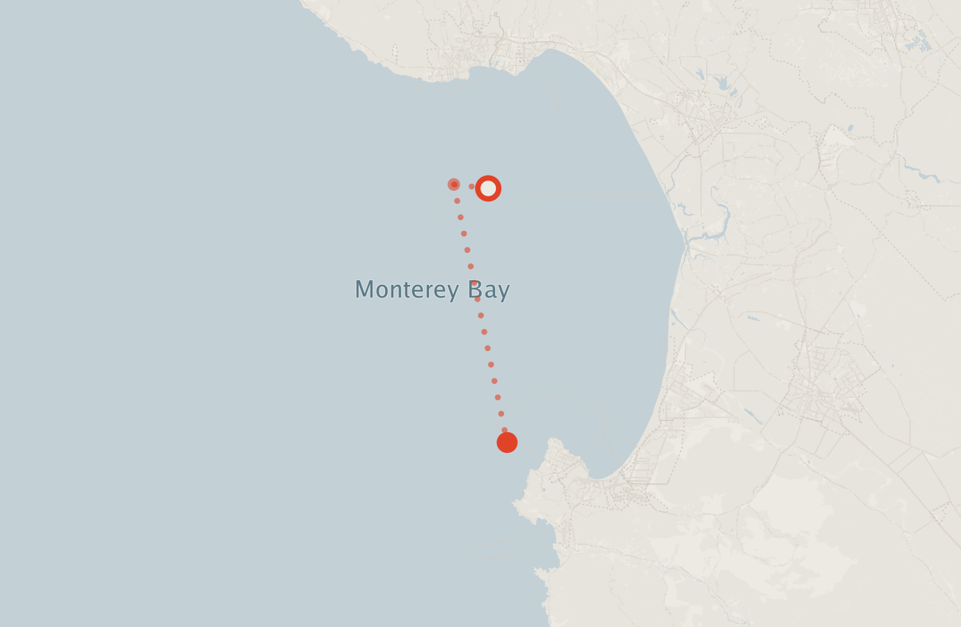 Activity map — real sighting points on an OpenStreetMap basemap