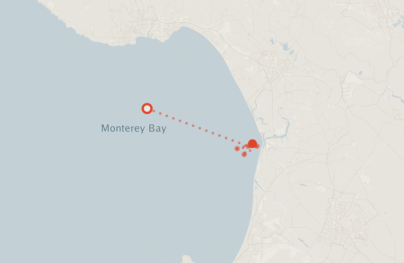Activity map — real sighting points on an OpenStreetMap basemap