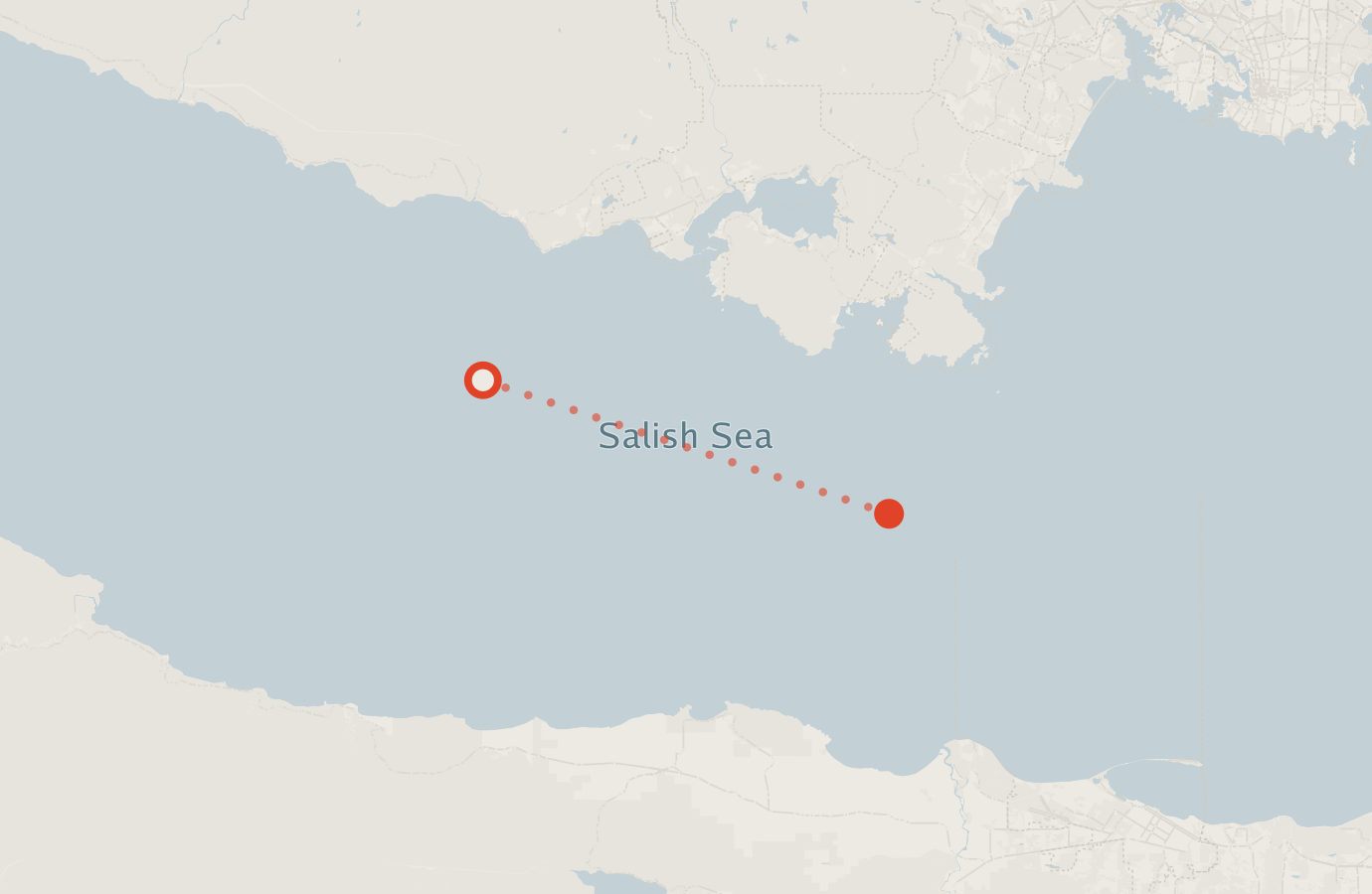 Activity map — real sighting points on an OpenStreetMap basemap