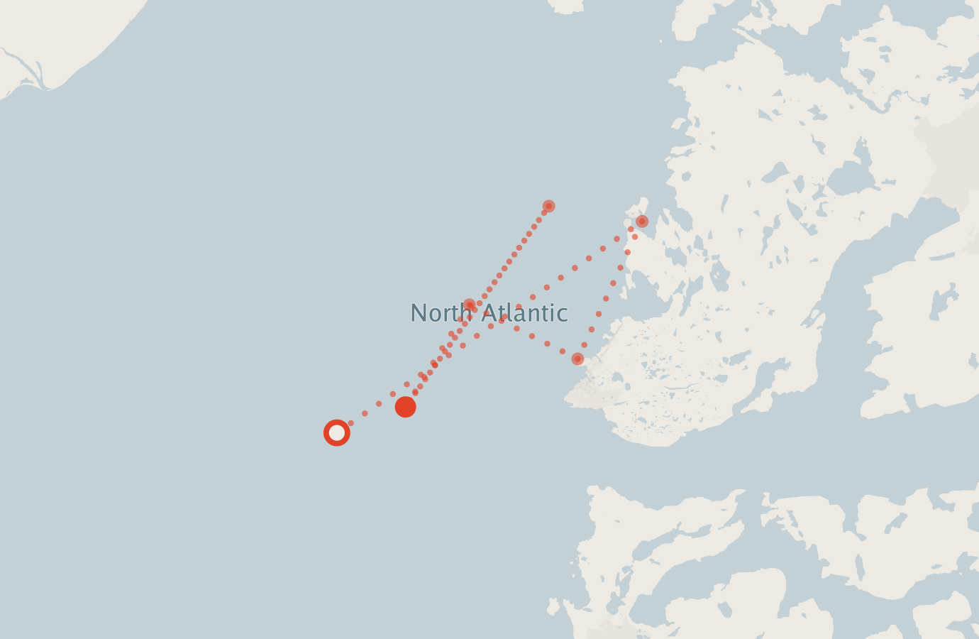 Activity map — real sighting points on an OpenStreetMap basemap