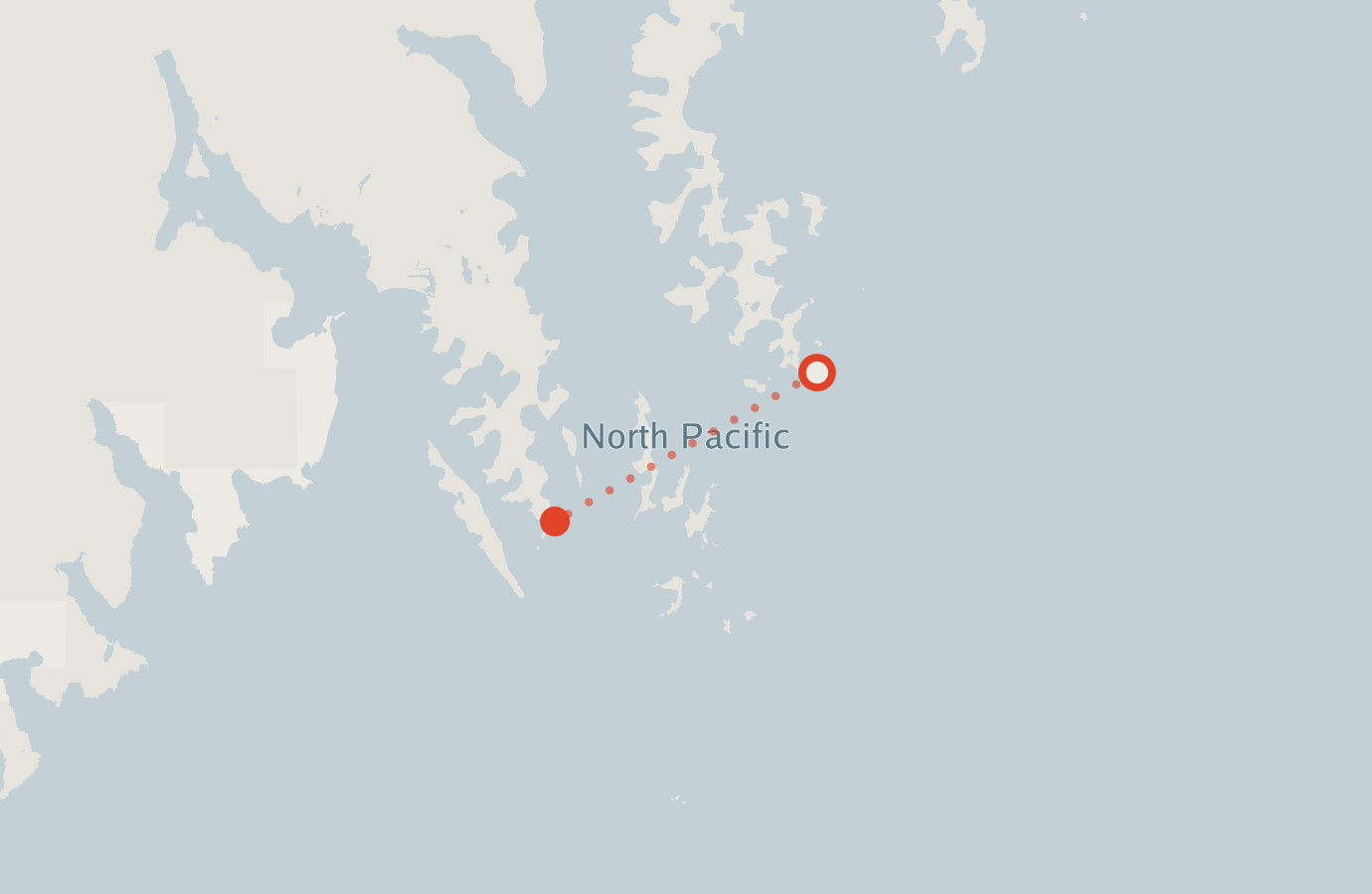 Activity map — real sighting points on an OpenStreetMap basemap