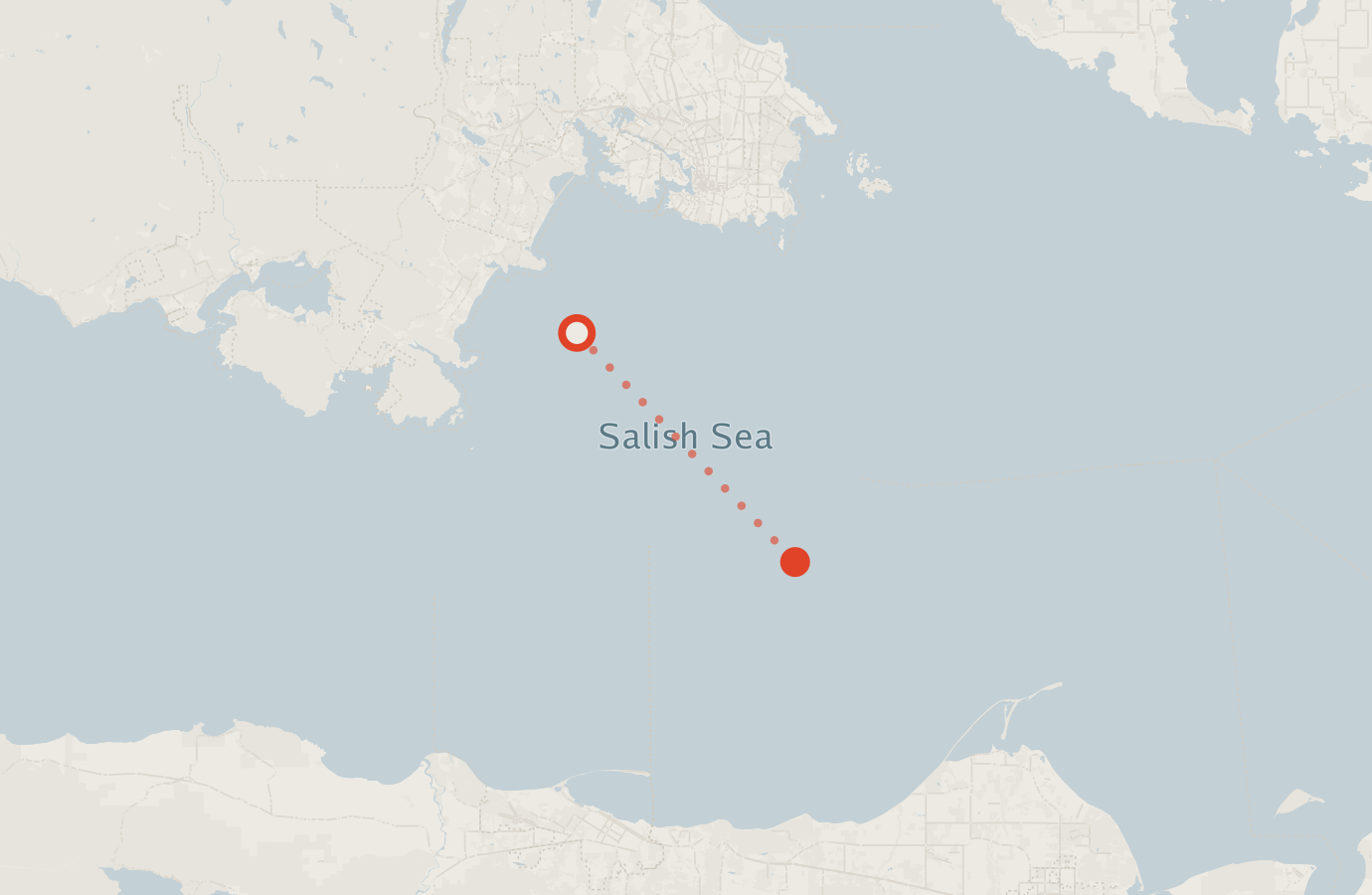 Activity map — real sighting points on an OpenStreetMap basemap