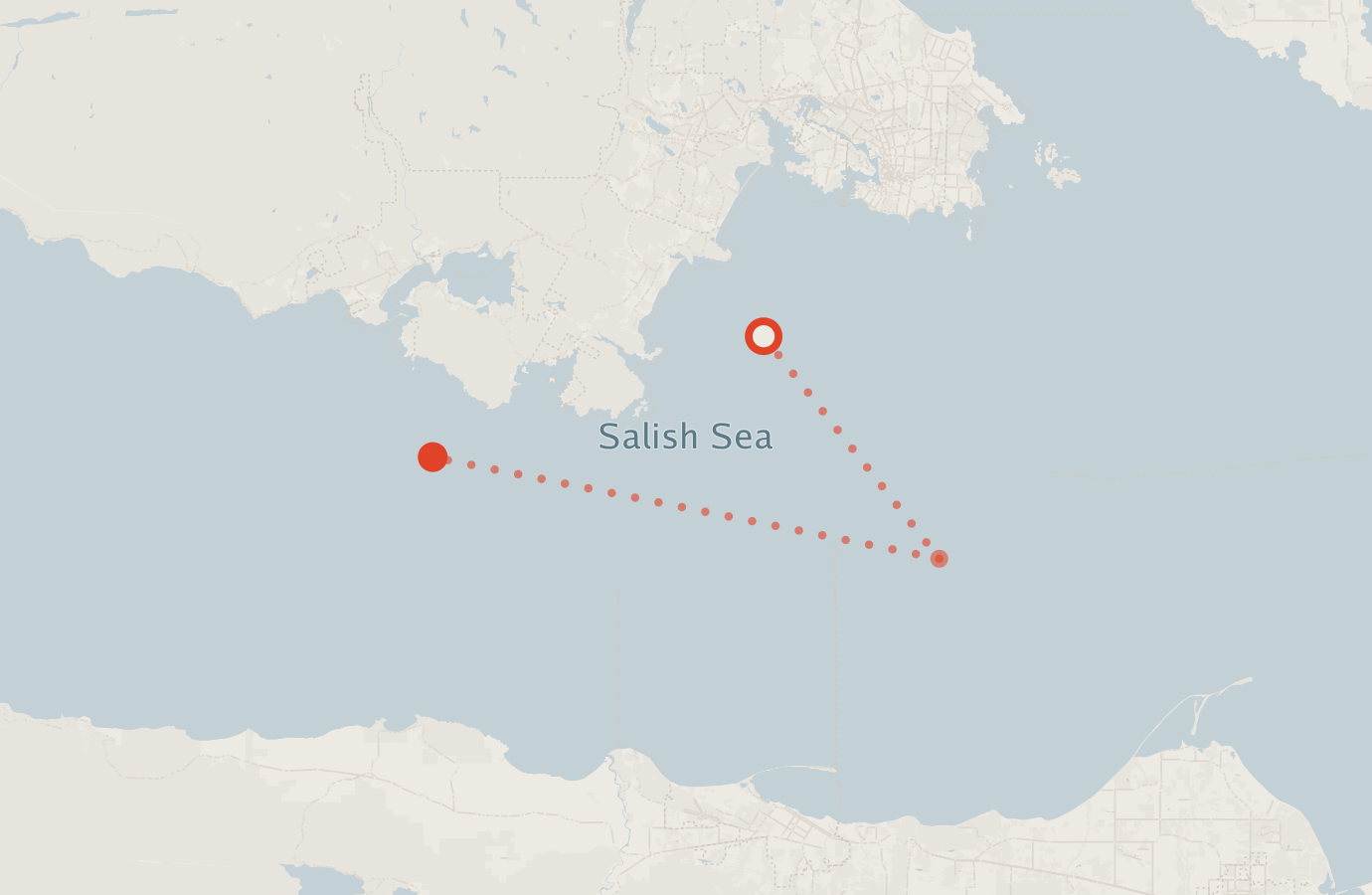 Activity map — real sighting points on an OpenStreetMap basemap