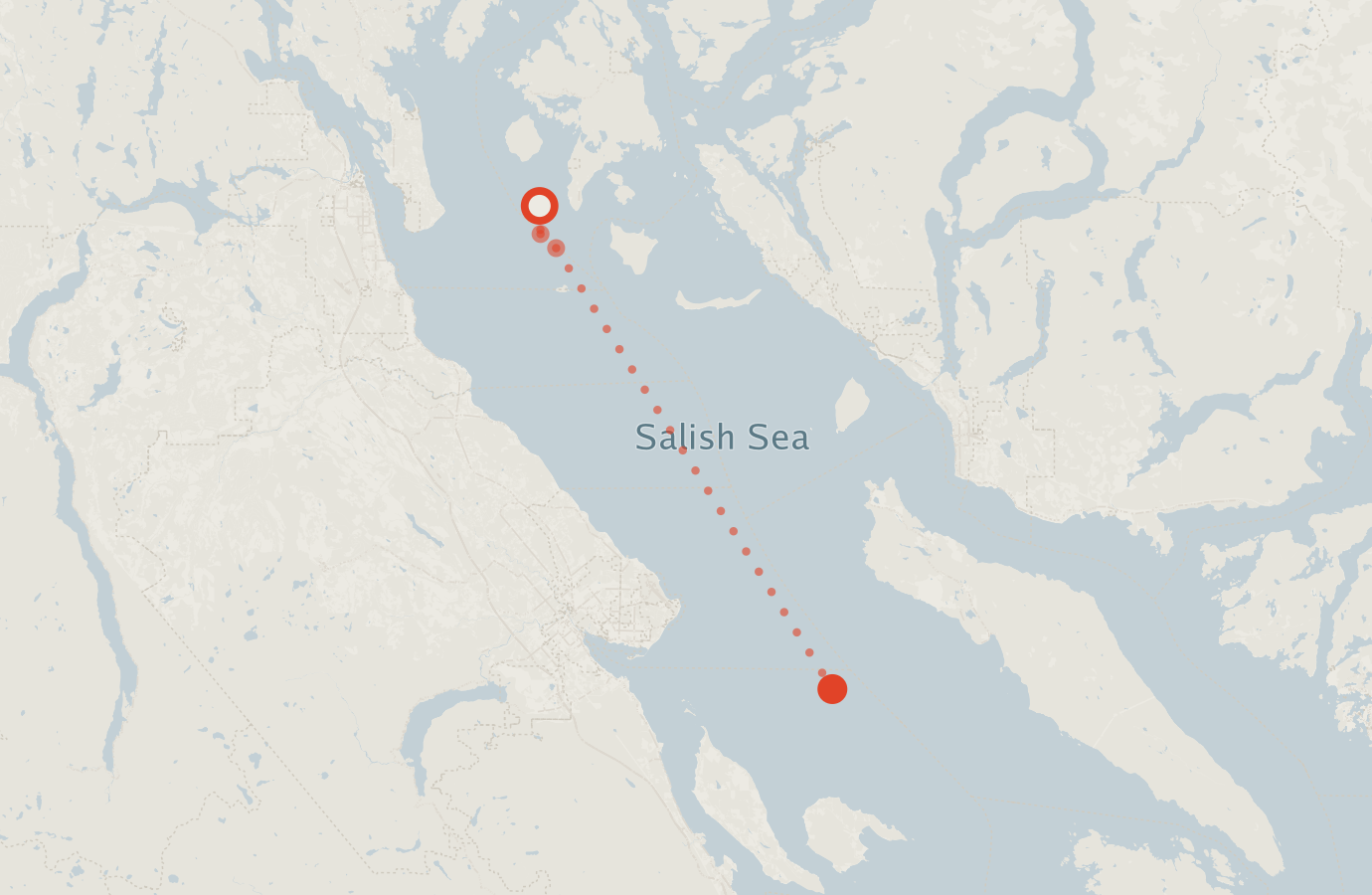 Activity map — real sighting points on an OpenStreetMap basemap