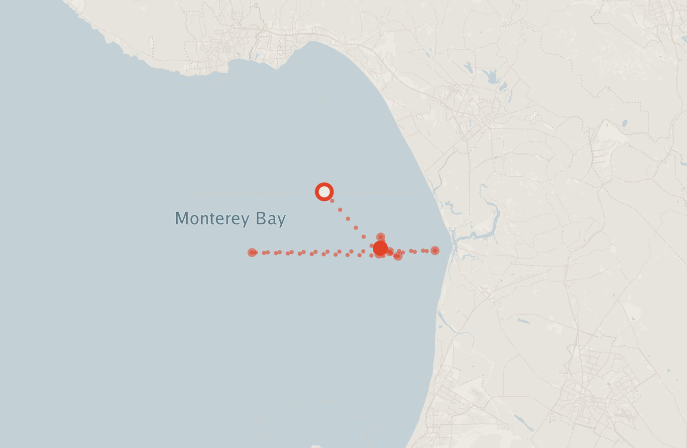 Activity map — real sighting points on an OpenStreetMap basemap