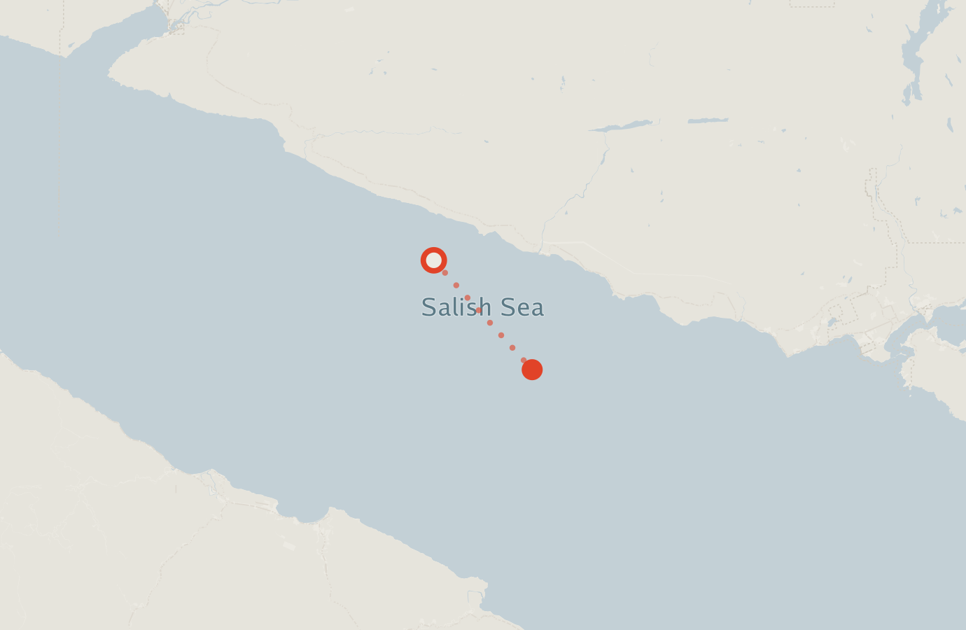 Activity map — real sighting points on an OpenStreetMap basemap