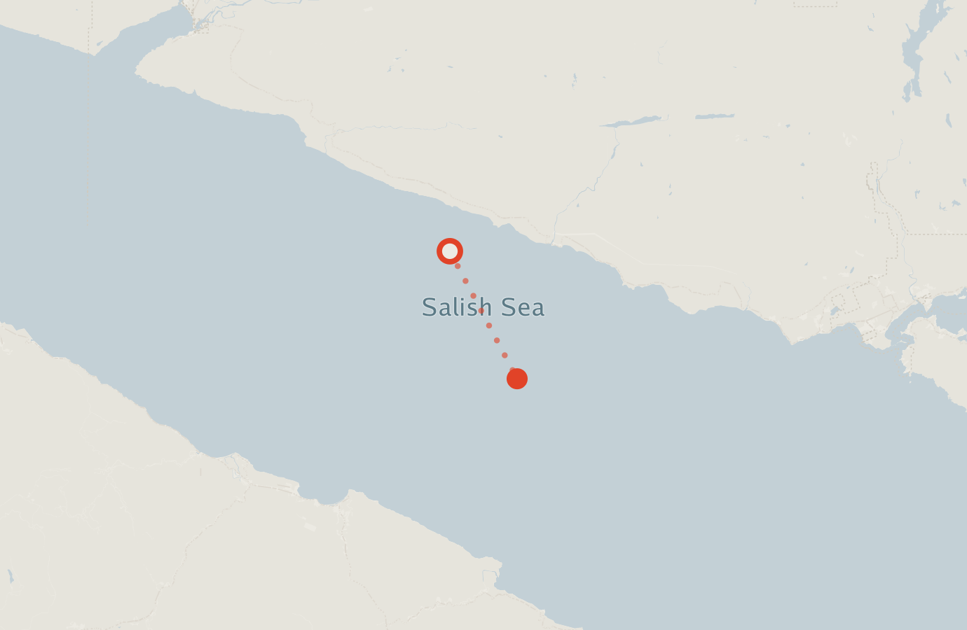 Activity map — real sighting points on an OpenStreetMap basemap