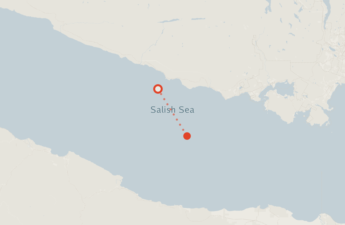 Activity map — real sighting points on an OpenStreetMap basemap