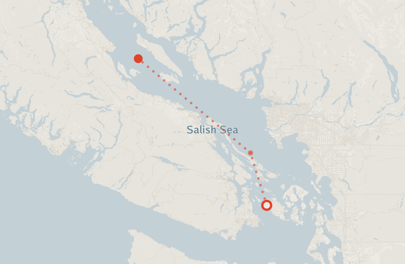 Activity map — real sighting points on an OpenStreetMap basemap