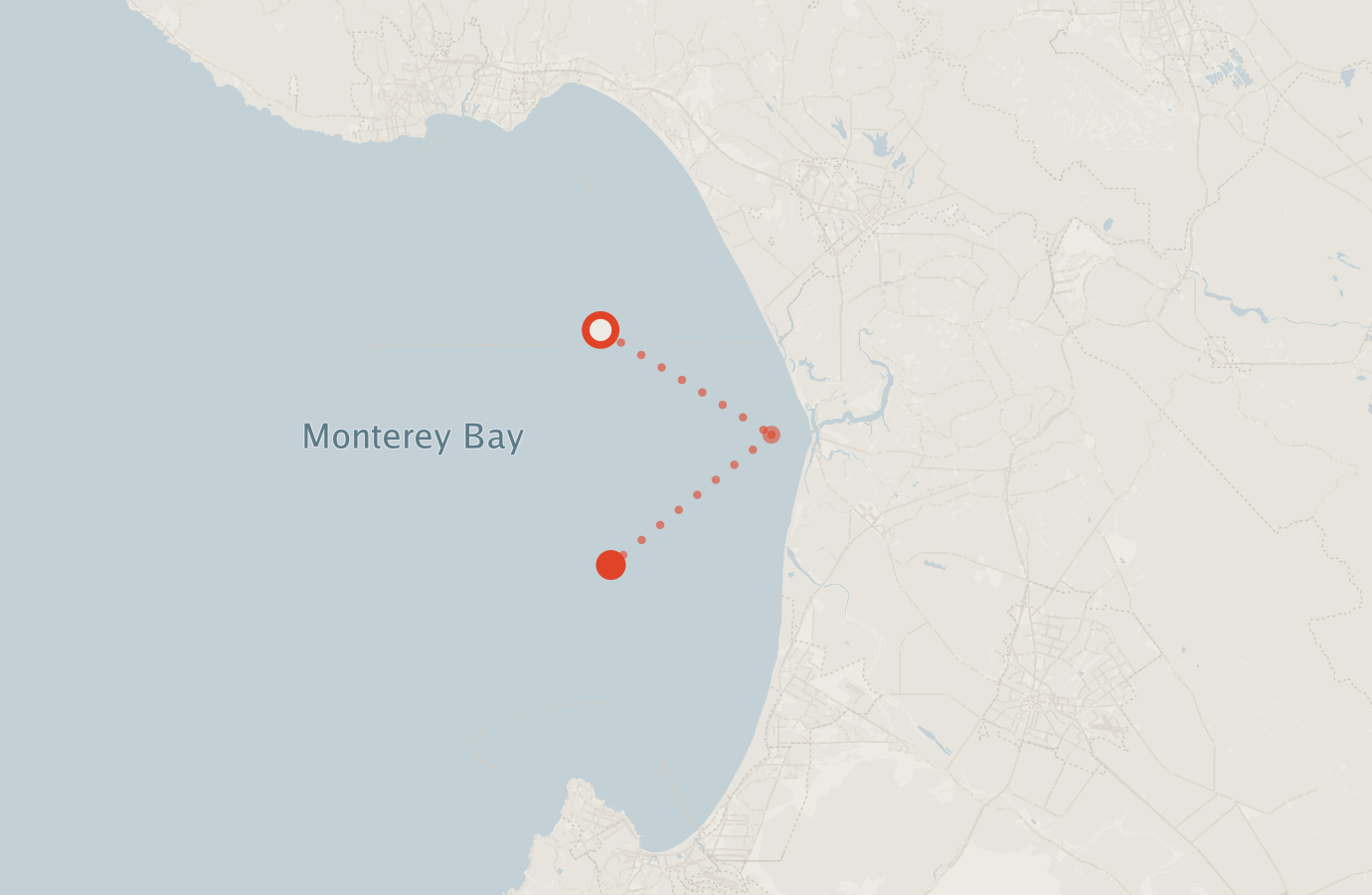 Activity map — real sighting points on an OpenStreetMap basemap