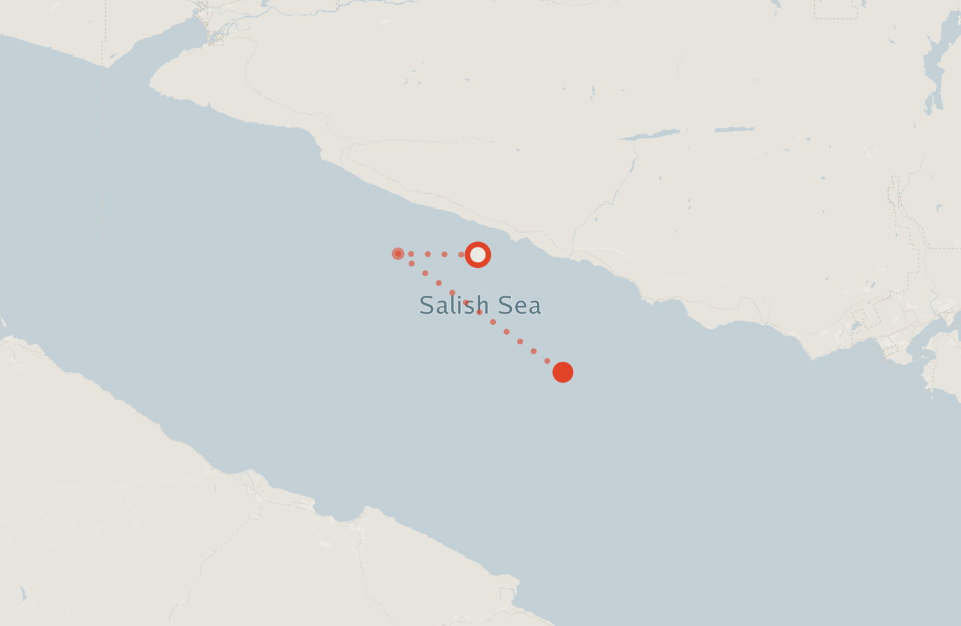 Activity map — real sighting points on an OpenStreetMap basemap