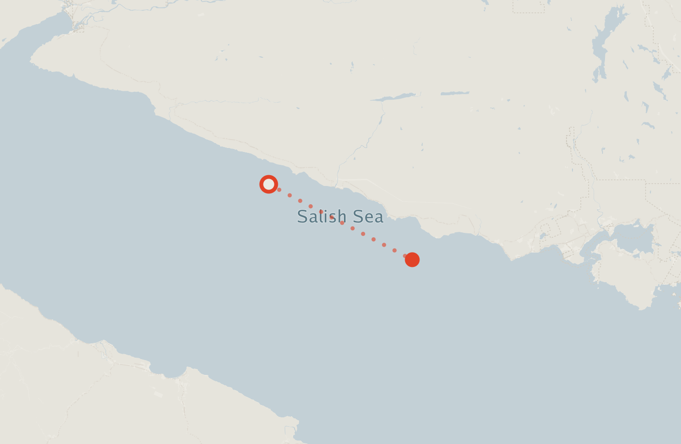 Activity map — real sighting points on an OpenStreetMap basemap