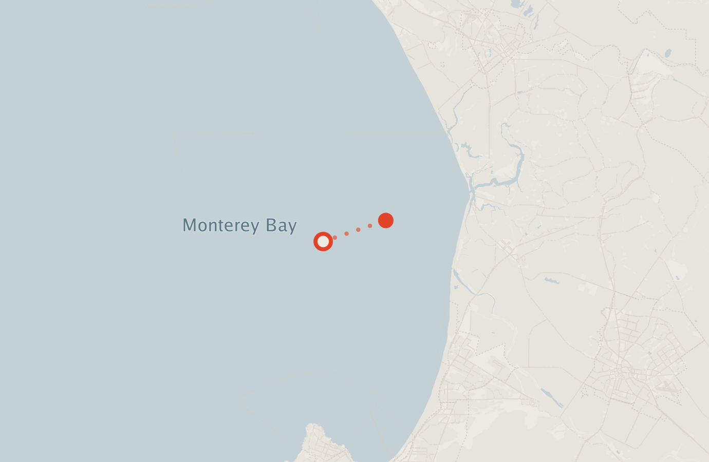 Activity map — real sighting points on an OpenStreetMap basemap