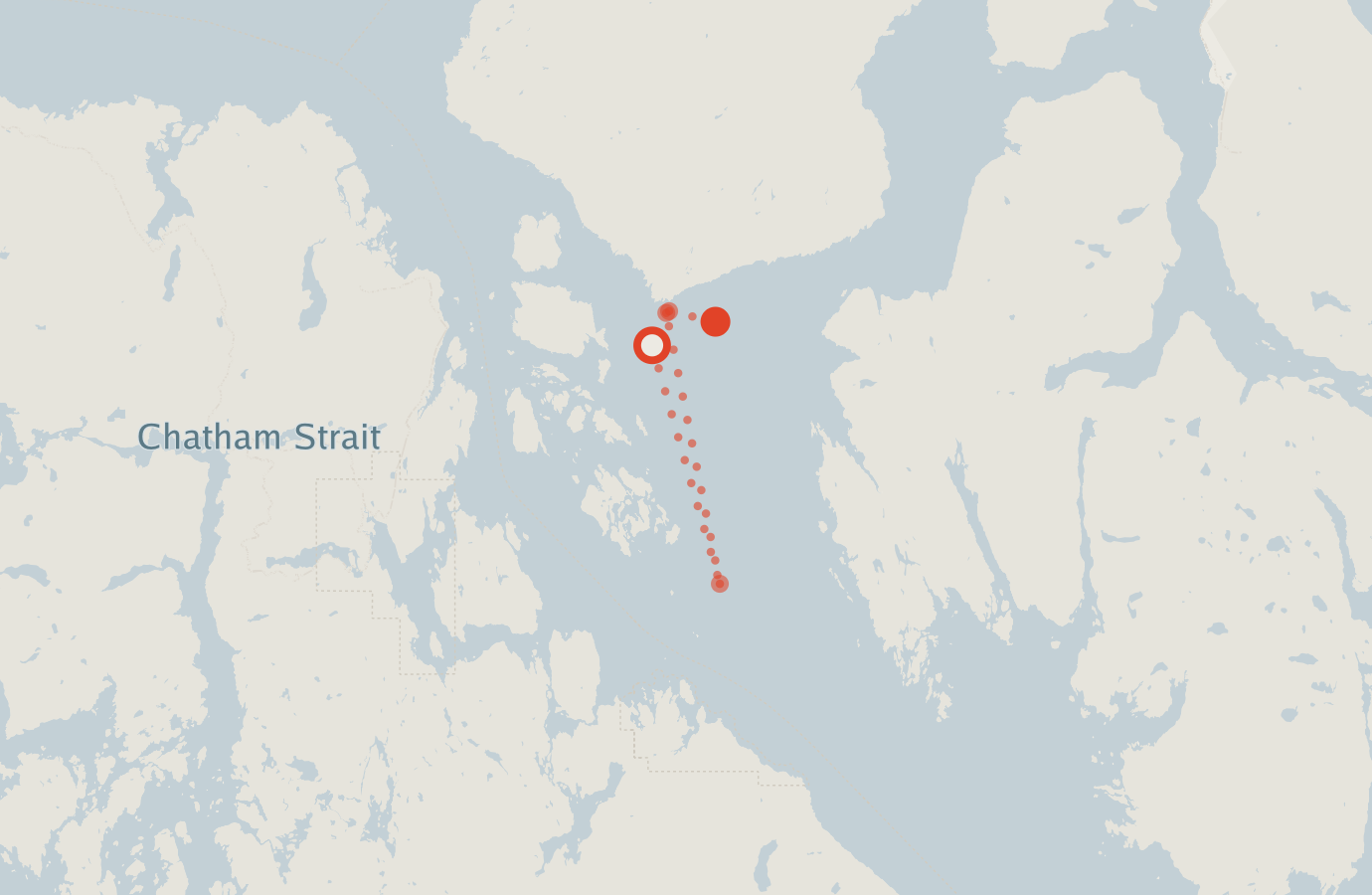 Activity map — real sighting points on an OpenStreetMap basemap