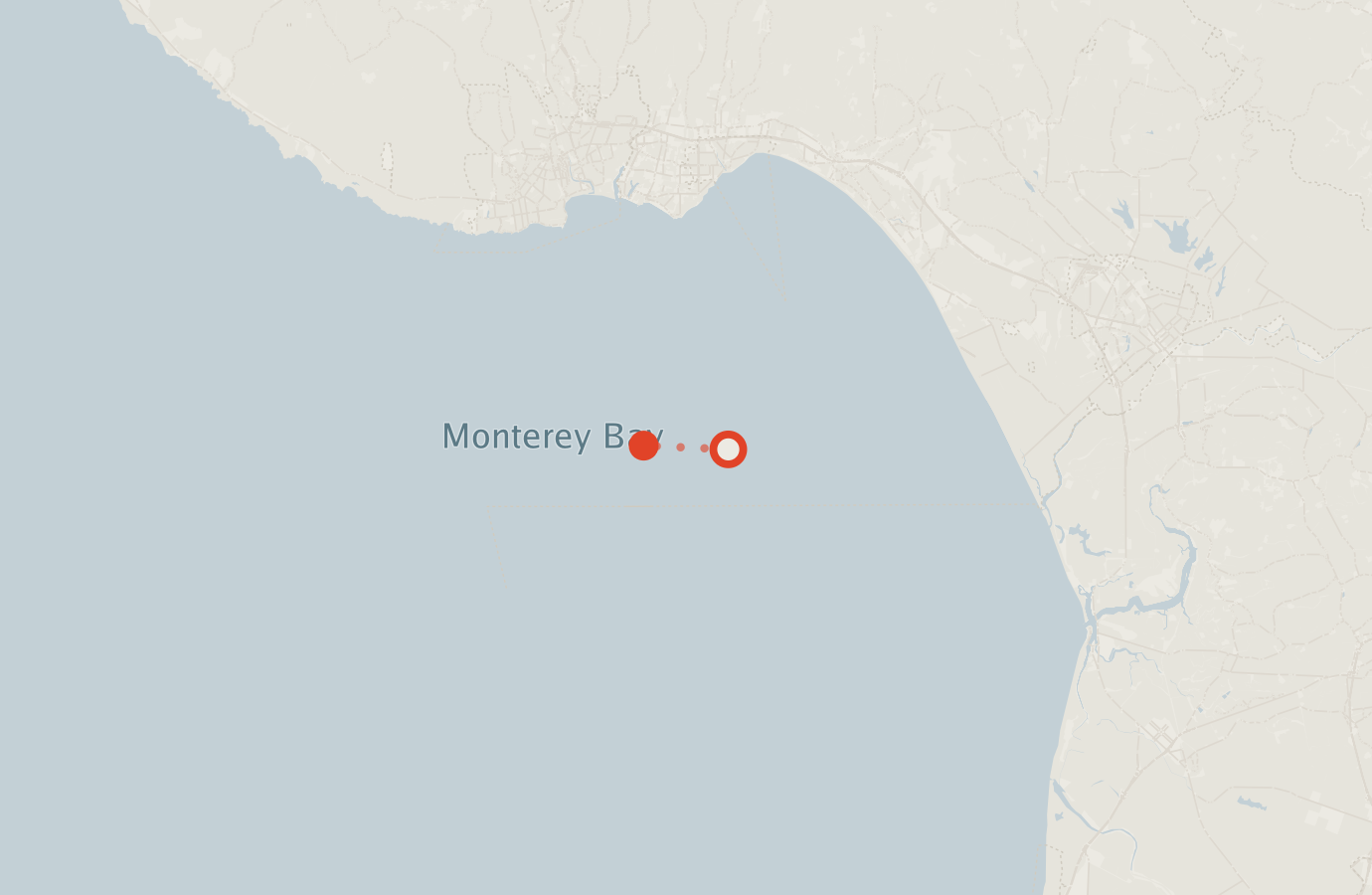 Activity map — real sighting points on an OpenStreetMap basemap