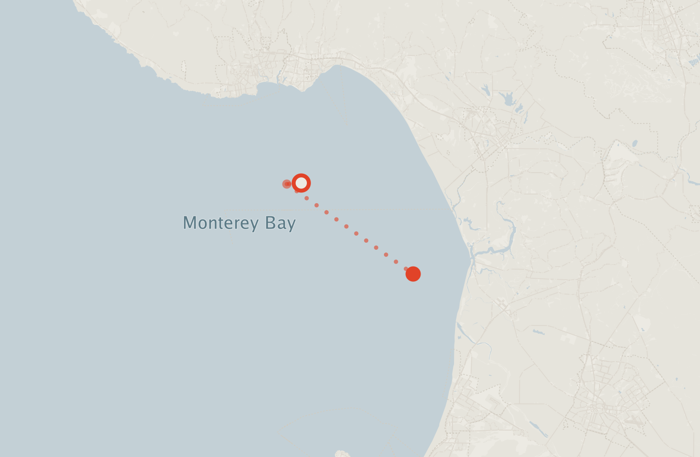 Activity map — real sighting points on an OpenStreetMap basemap