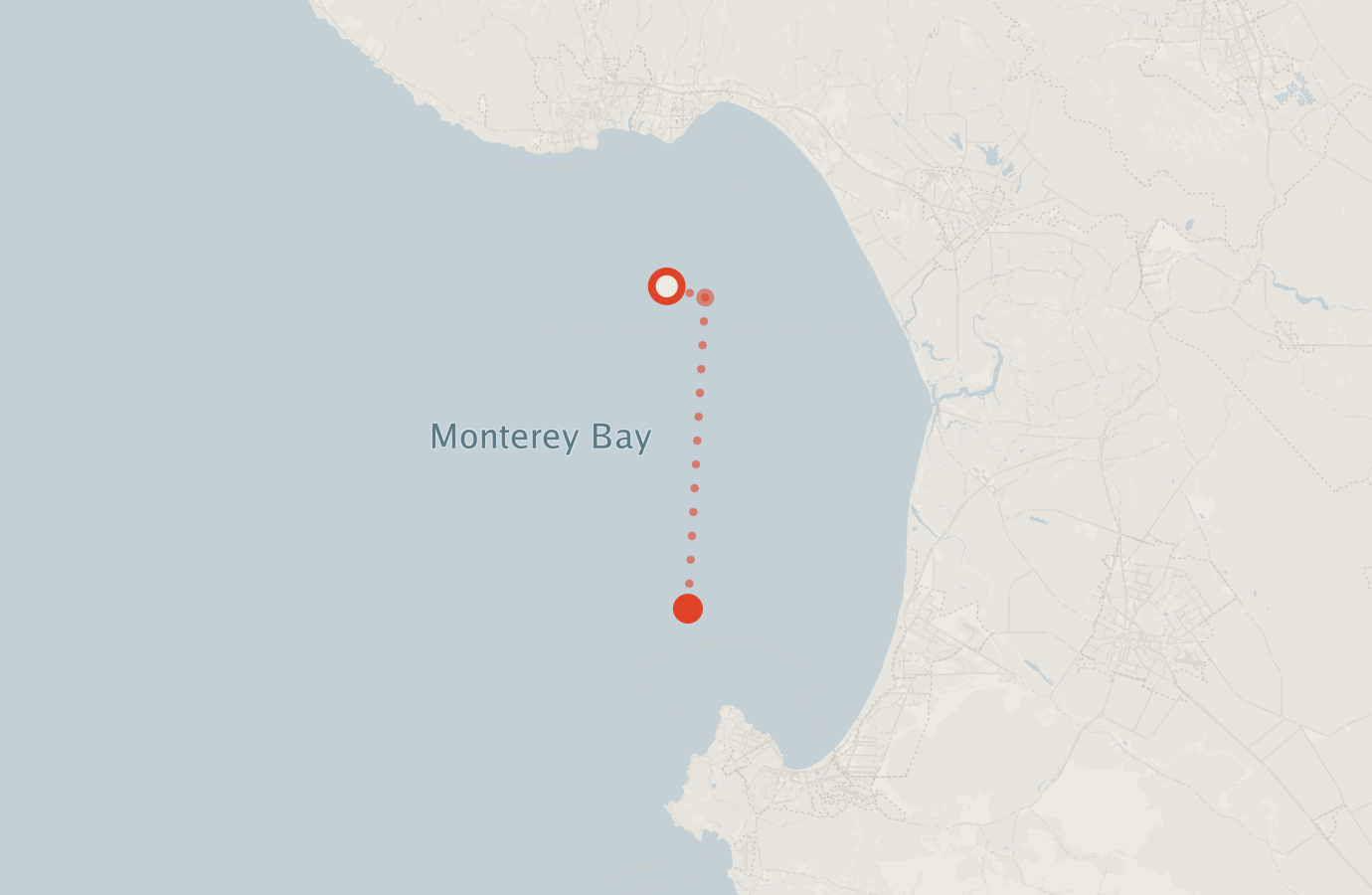 Activity map — real sighting points on an OpenStreetMap basemap