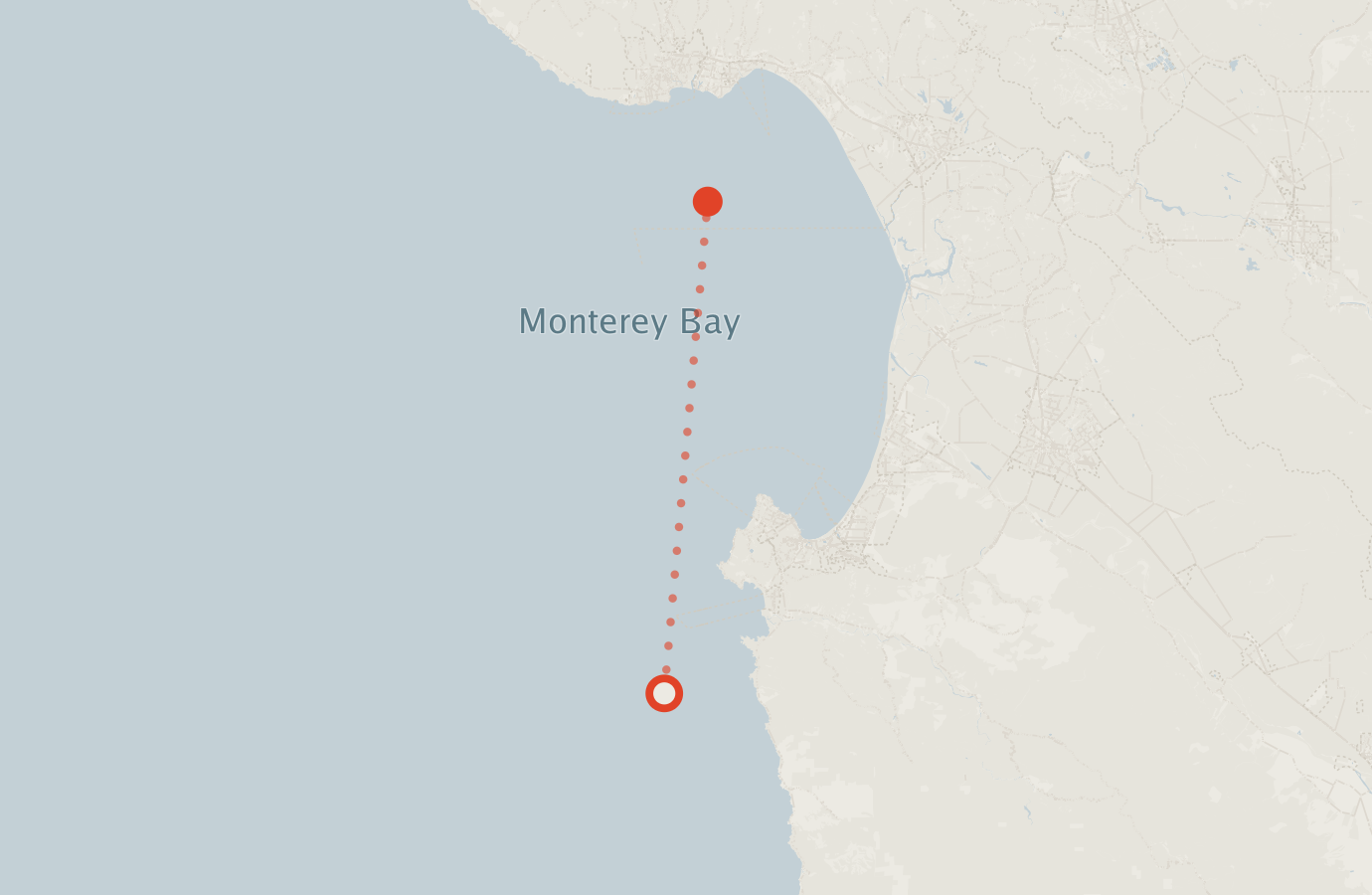 Activity map — real sighting points on an OpenStreetMap basemap