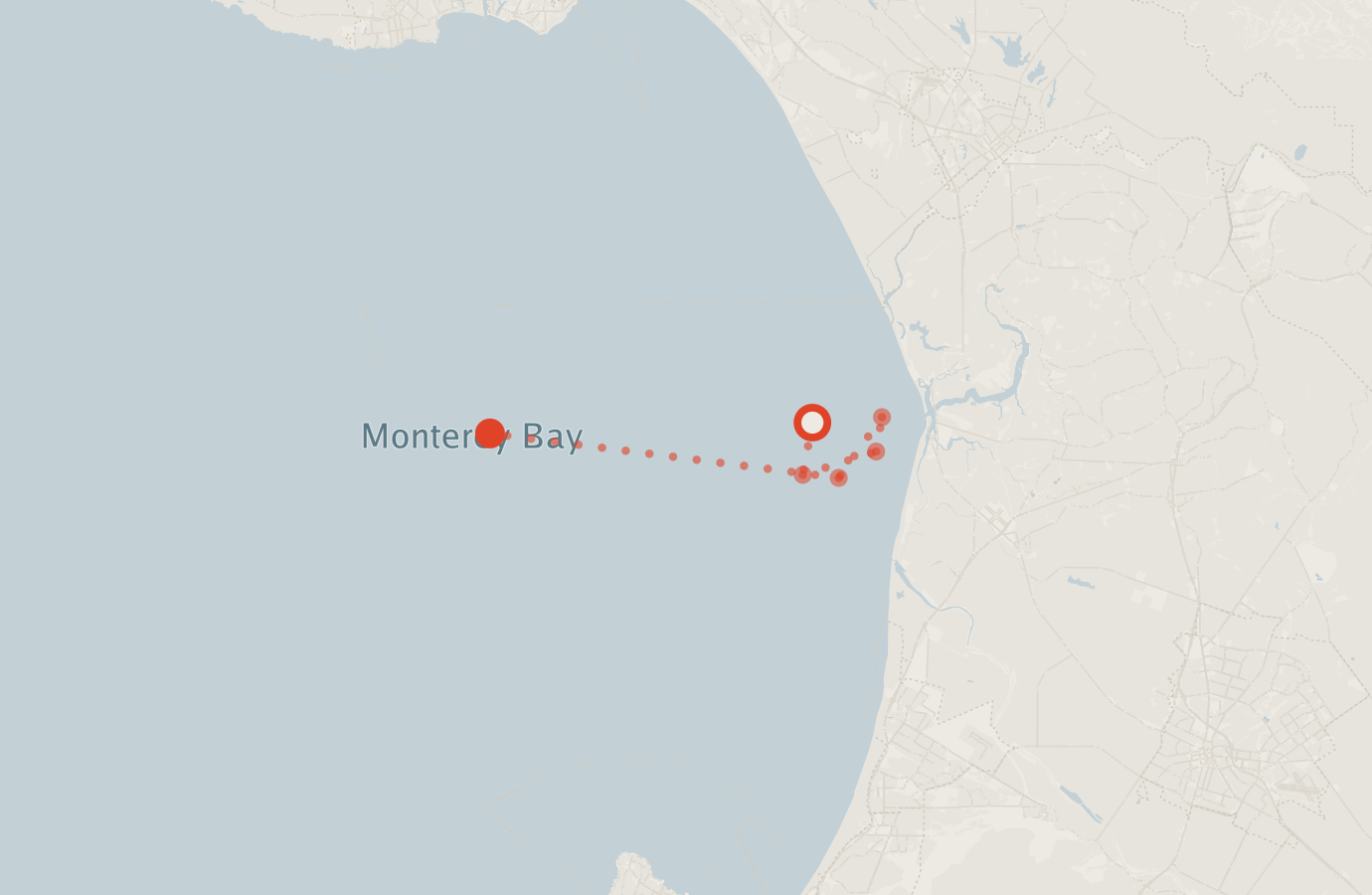 Activity map — real sighting points on an OpenStreetMap basemap
