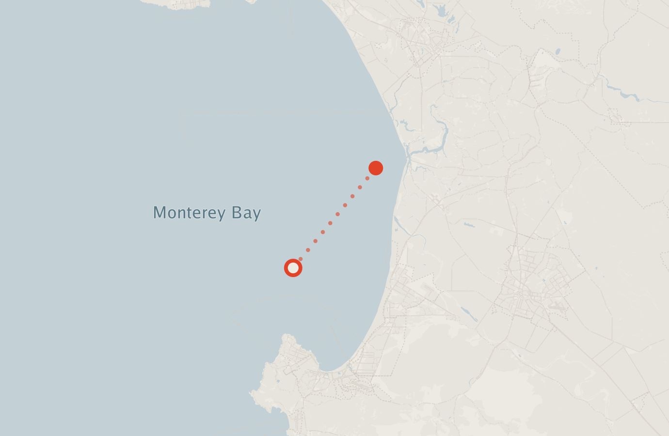 Activity map — real sighting points on an OpenStreetMap basemap