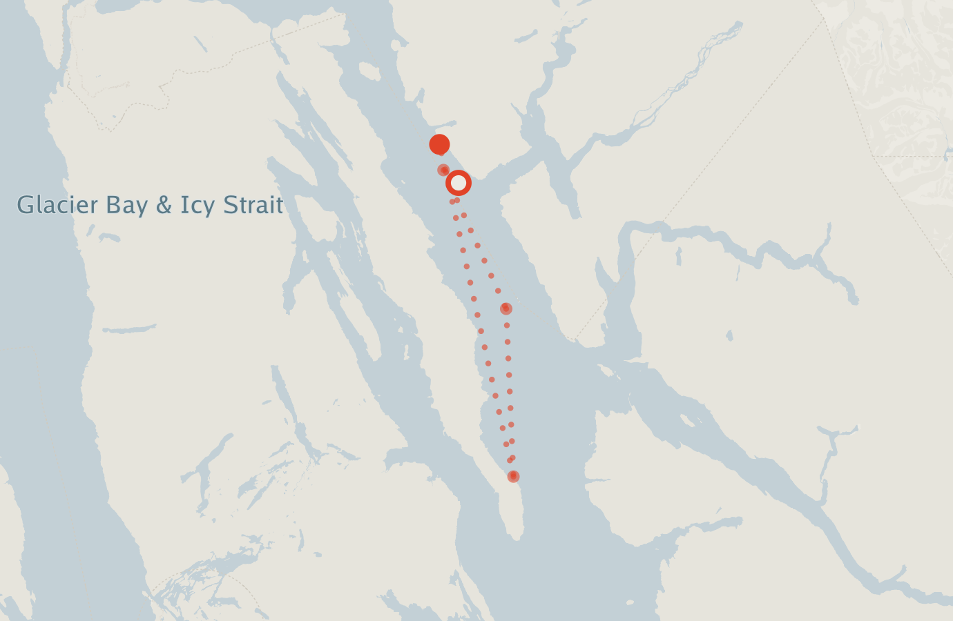 Activity map — real sighting points on an OpenStreetMap basemap