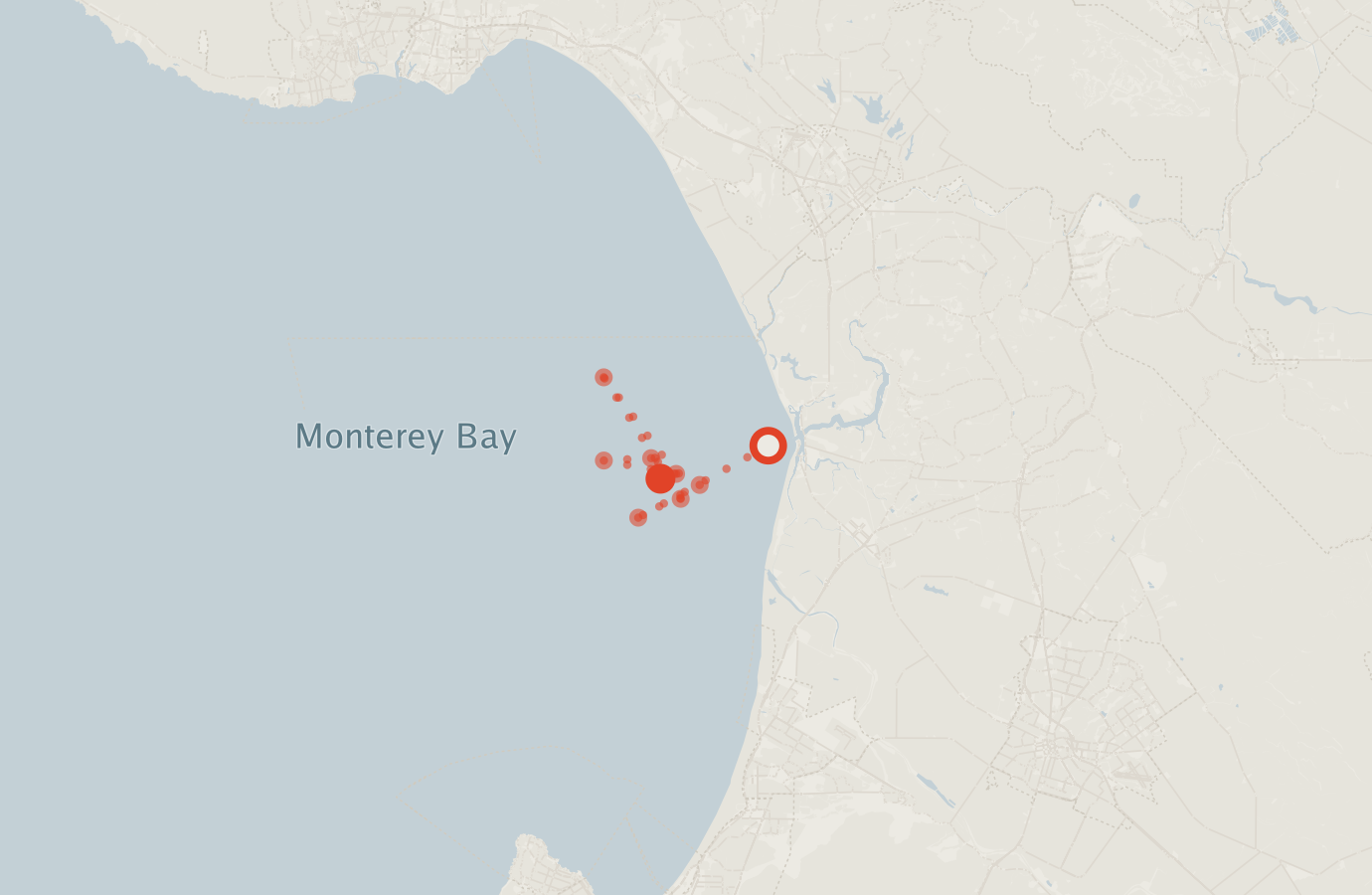 Activity map — real sighting points on an OpenStreetMap basemap