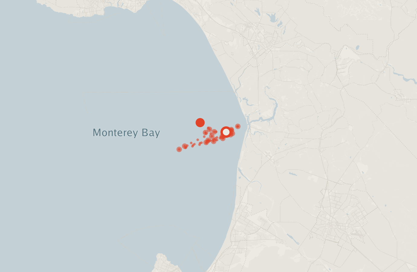 Activity map — real sighting points on an OpenStreetMap basemap