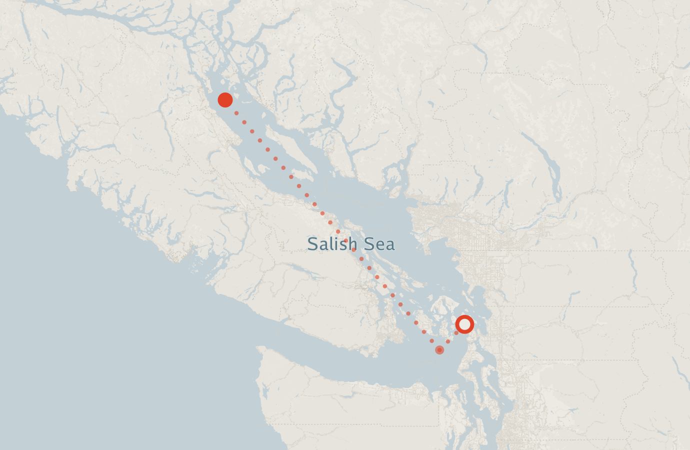 Activity map — real sighting points on an OpenStreetMap basemap