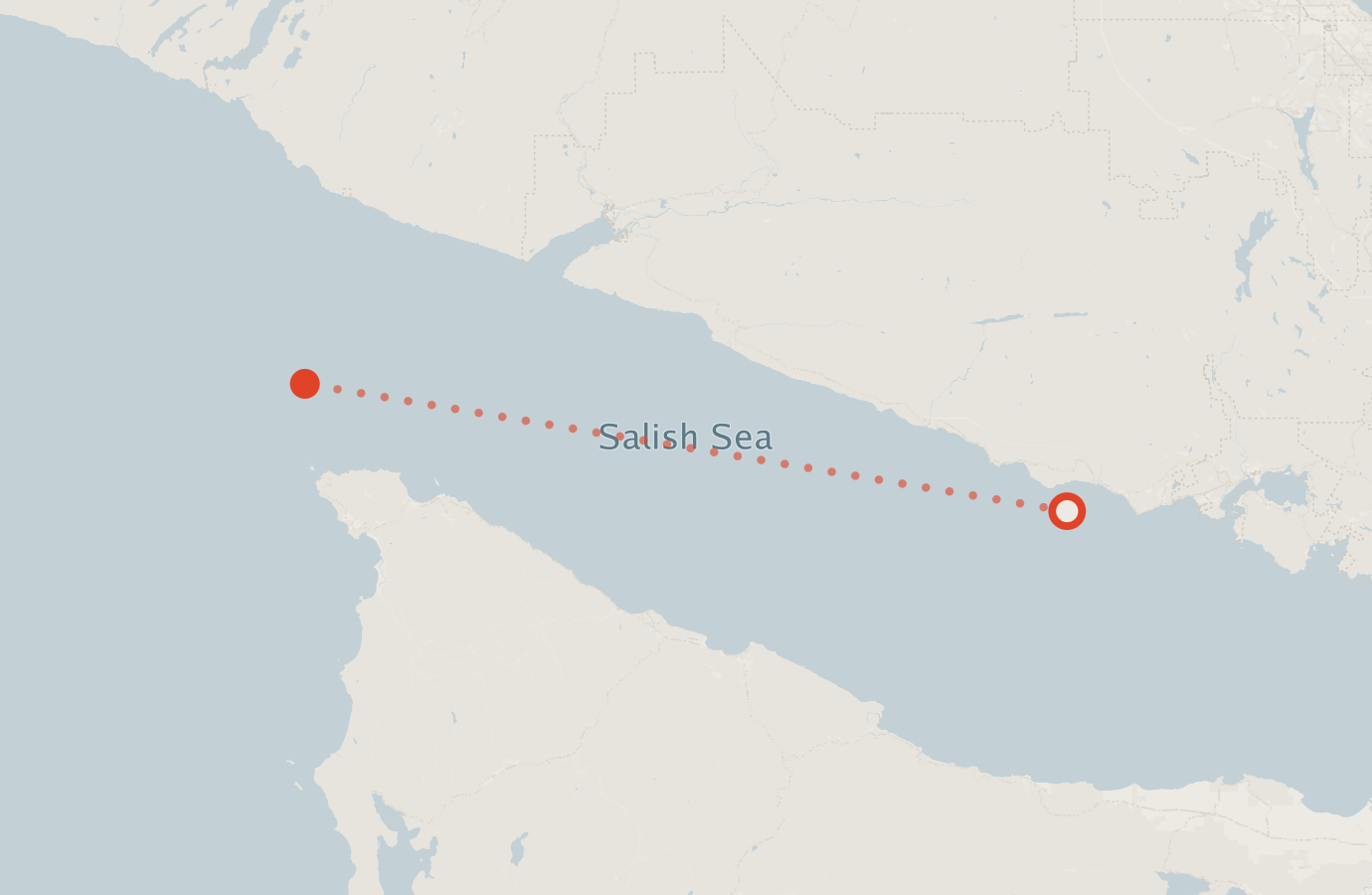 Activity map — real sighting points on an OpenStreetMap basemap
