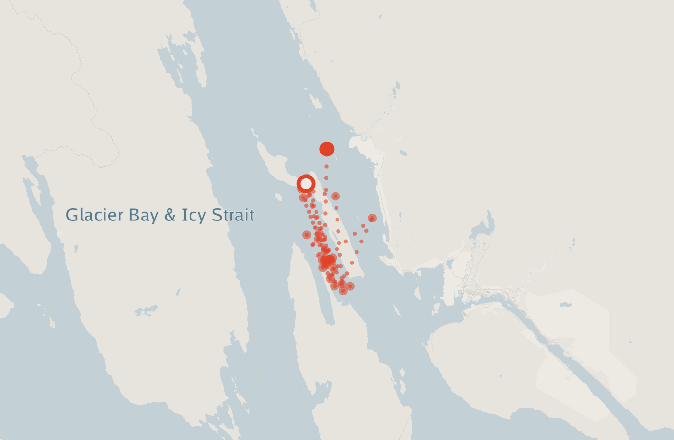 Activity map — real sighting points on an OpenStreetMap basemap