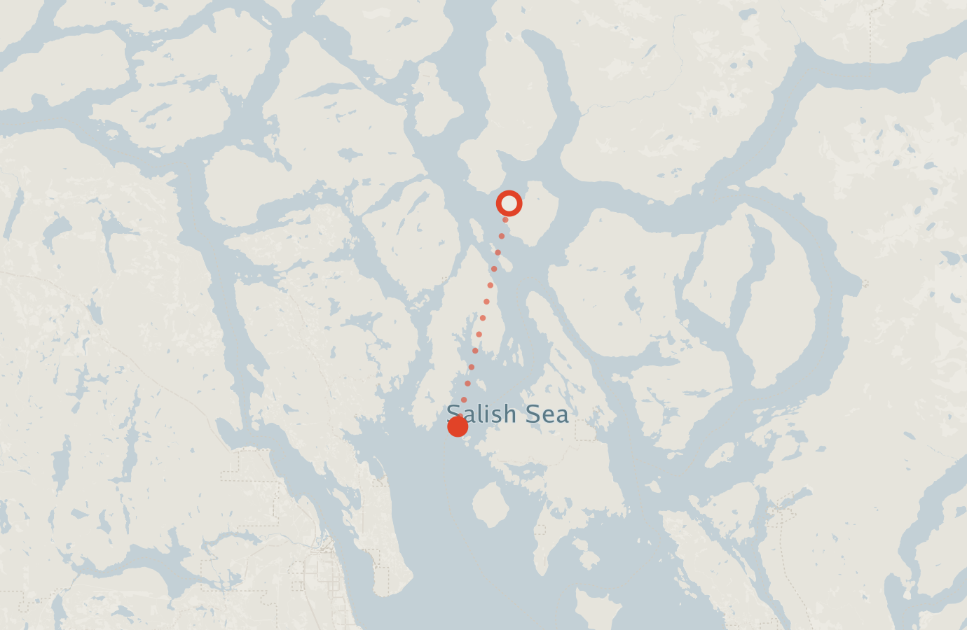 Activity map — real sighting points on an OpenStreetMap basemap