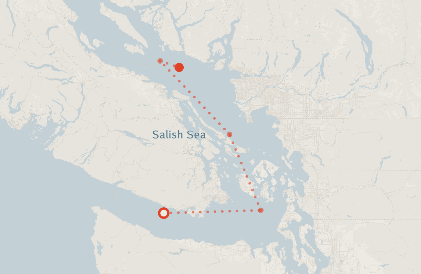 Activity map — real sighting points on an OpenStreetMap basemap