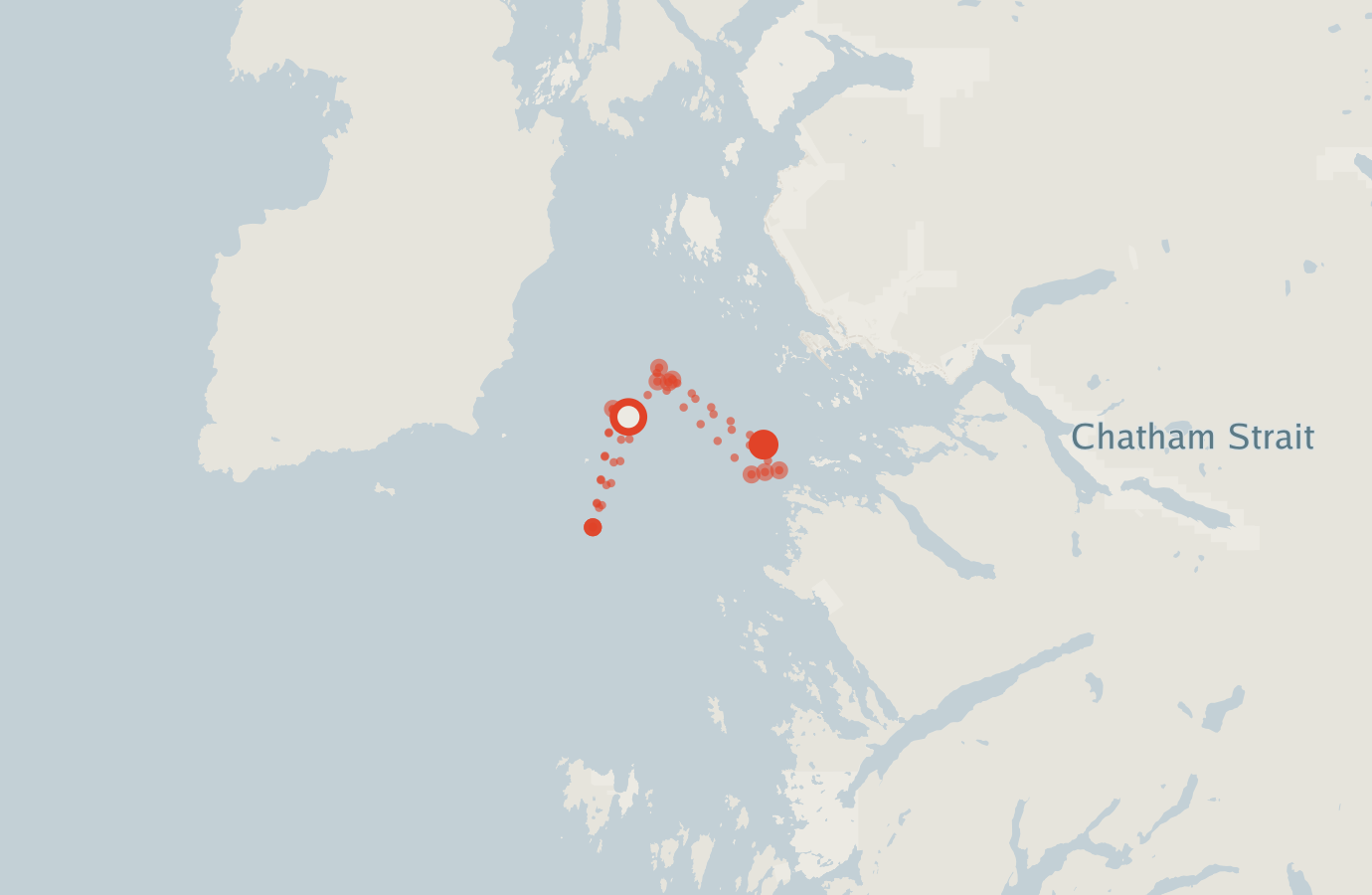 Activity map — real sighting points on an OpenStreetMap basemap