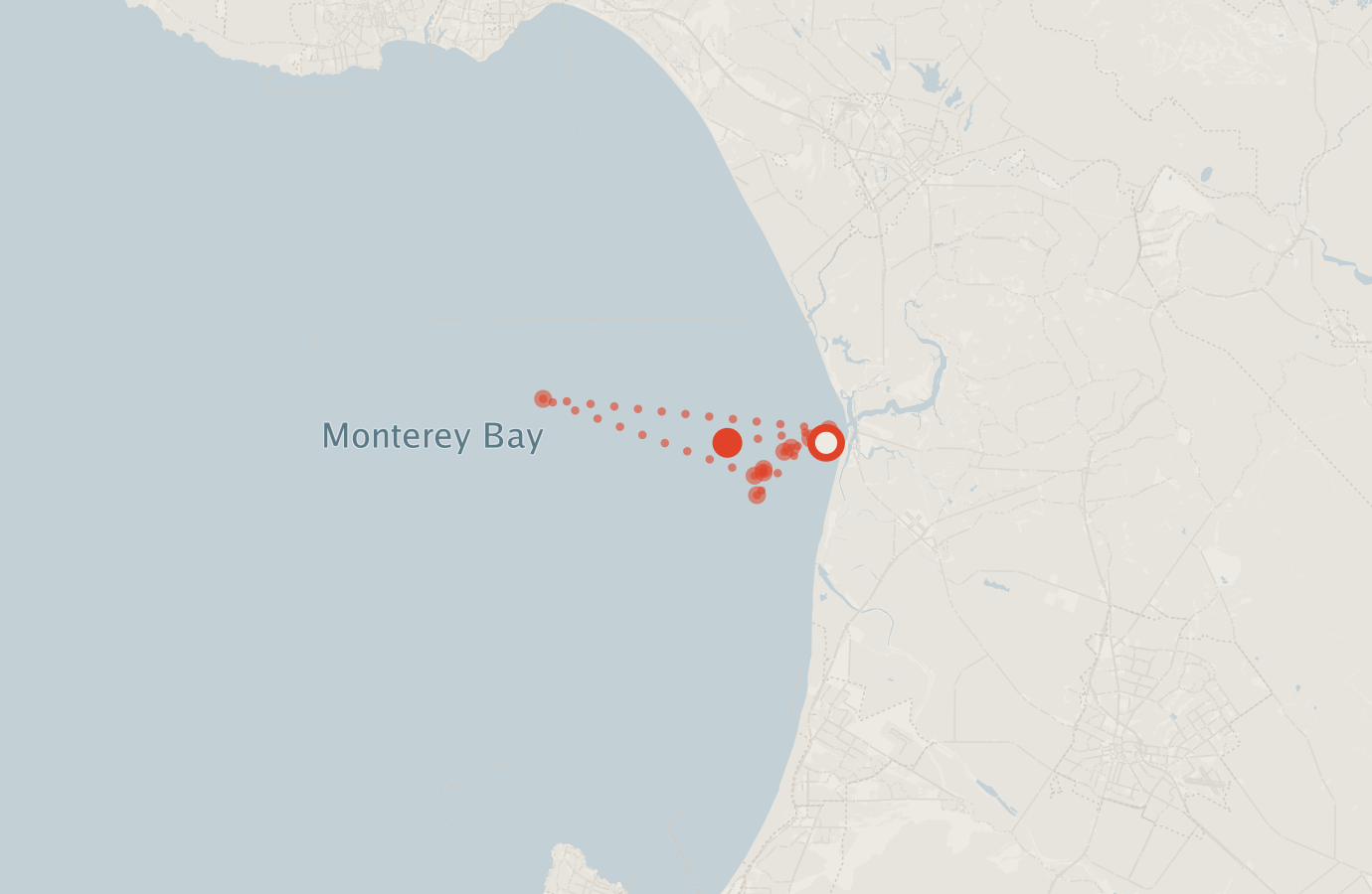 Activity map — real sighting points on an OpenStreetMap basemap