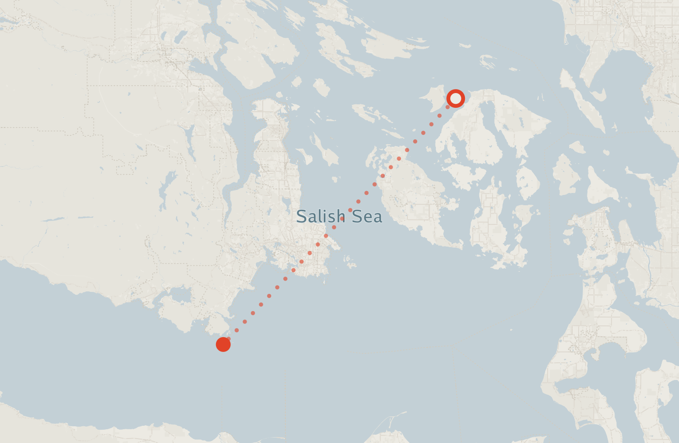 Activity map — real sighting points on an OpenStreetMap basemap