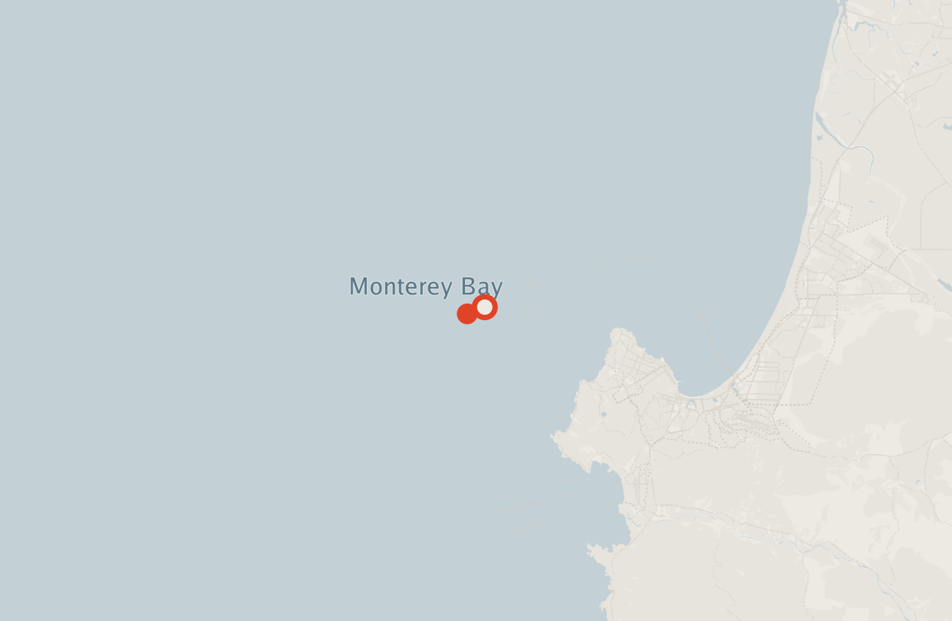 Activity map — real sighting points on an OpenStreetMap basemap