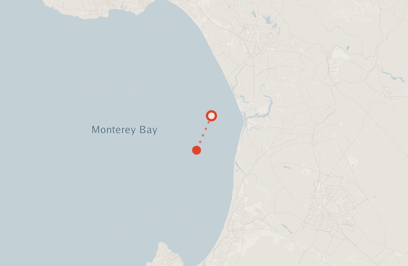 Activity map — real sighting points on an OpenStreetMap basemap