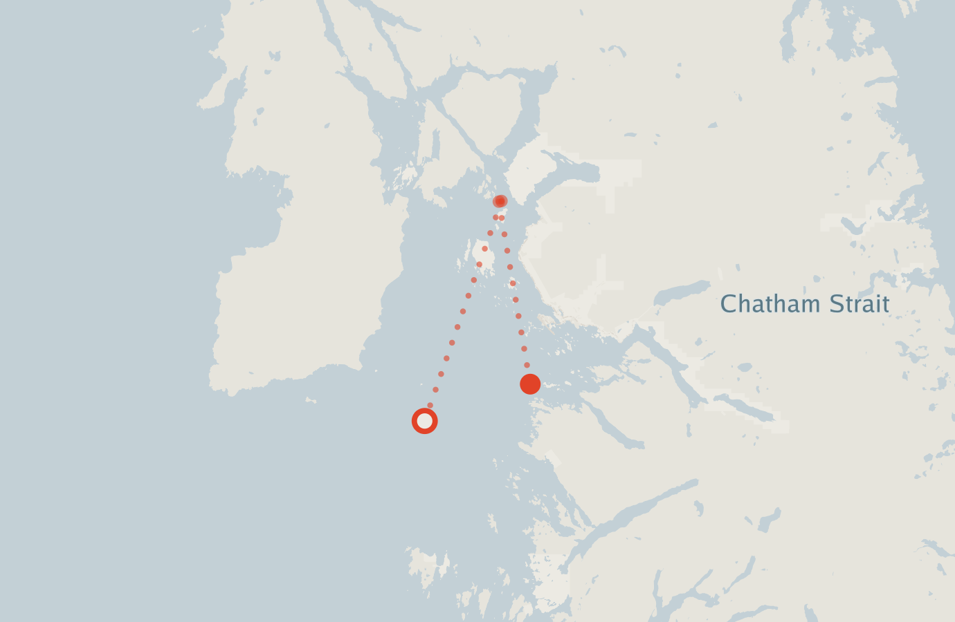 Activity map — real sighting points on an OpenStreetMap basemap