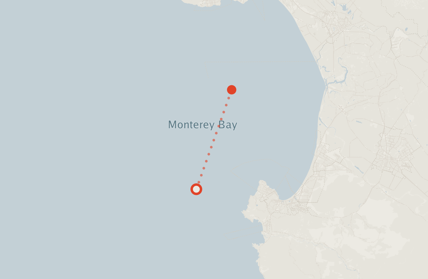 Activity map — real sighting points on an OpenStreetMap basemap