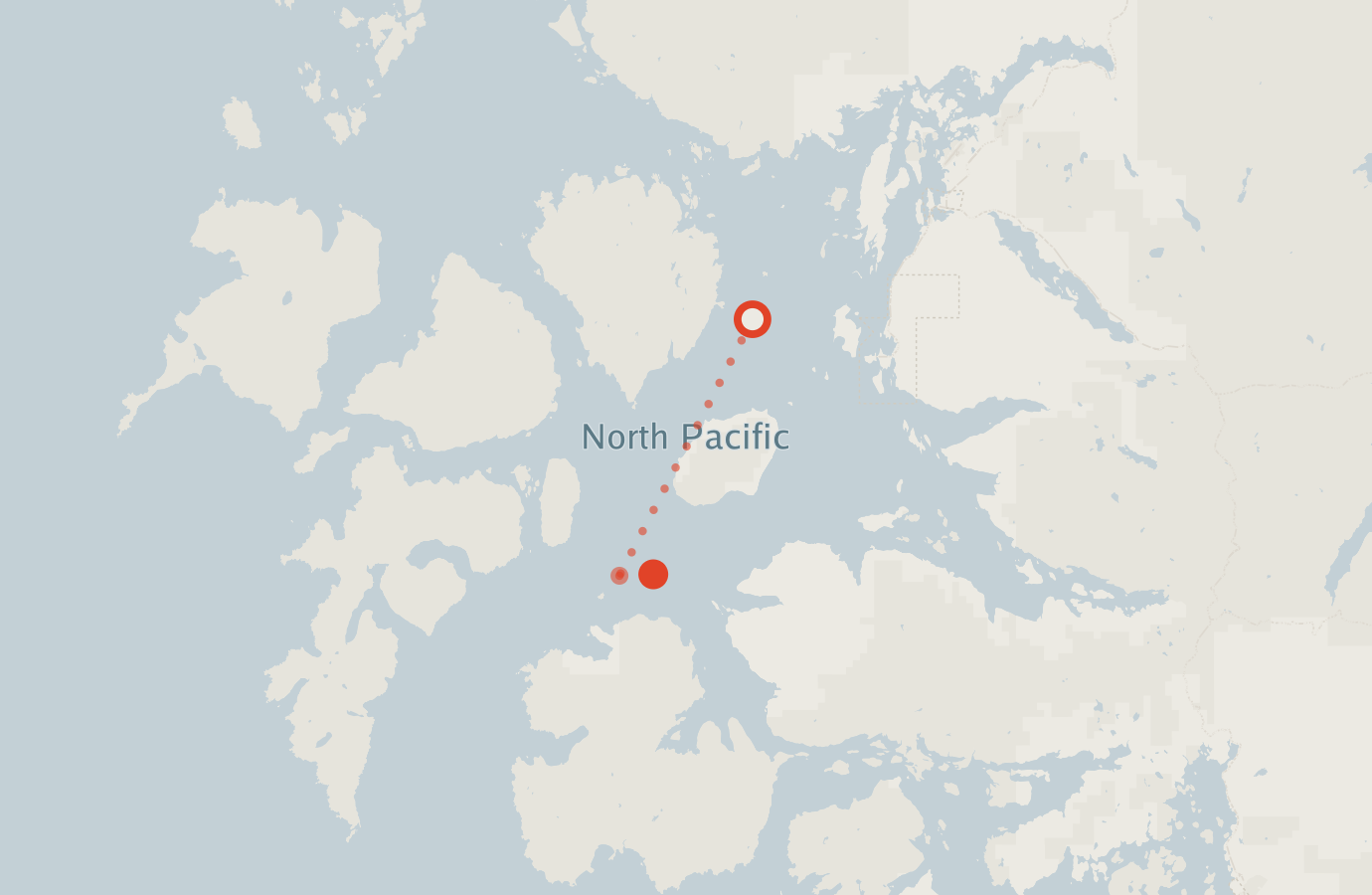 Activity map — real sighting points on an OpenStreetMap basemap