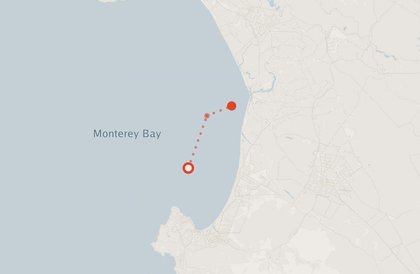 Activity map — real sighting points on an OpenStreetMap basemap