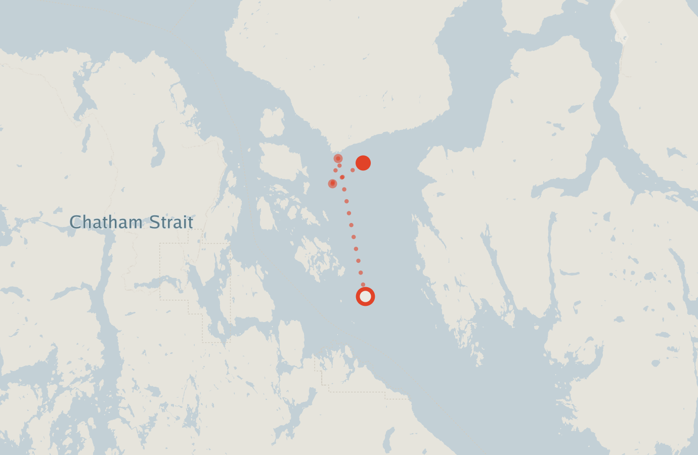 Activity map — real sighting points on an OpenStreetMap basemap