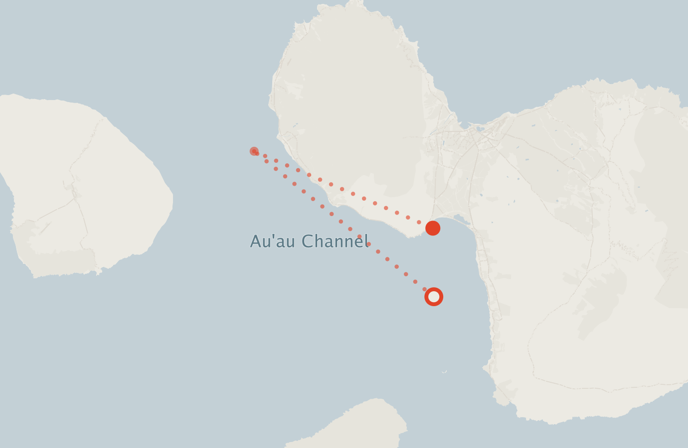 Activity map — real sighting points on an OpenStreetMap basemap