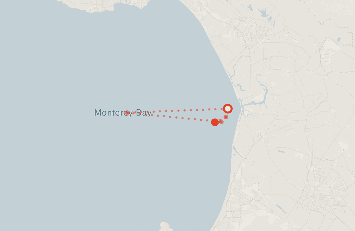 Activity map — real sighting points on an OpenStreetMap basemap