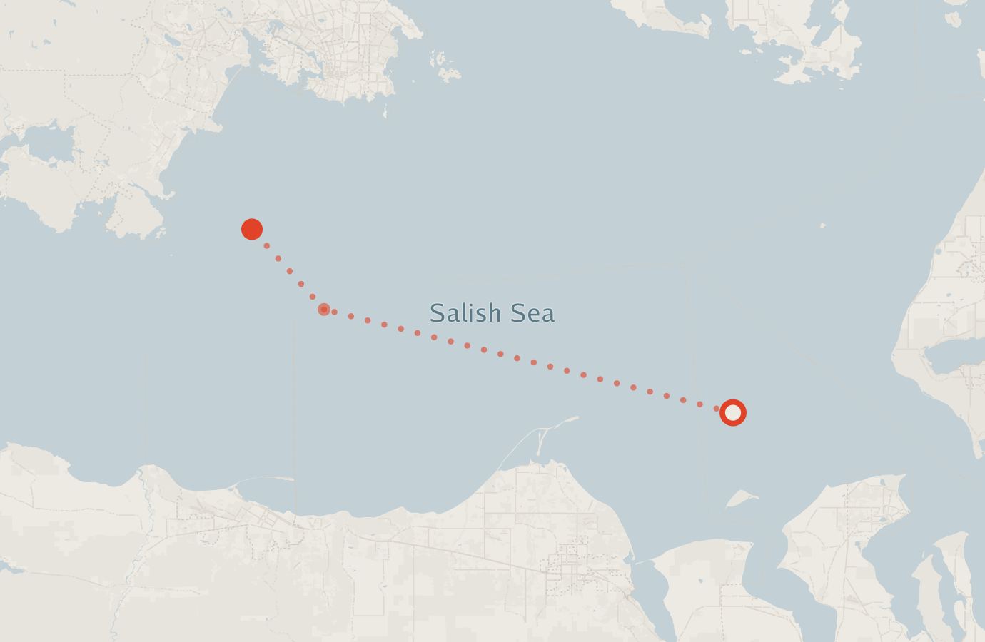 Activity map — real sighting points on an OpenStreetMap basemap