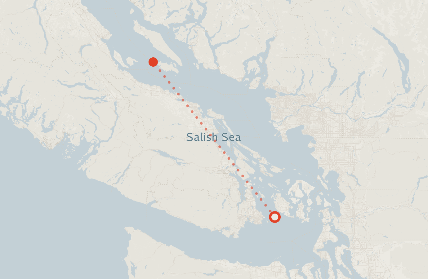 Activity map — real sighting points on an OpenStreetMap basemap