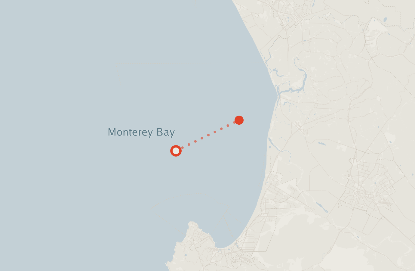 Activity map — real sighting points on an OpenStreetMap basemap