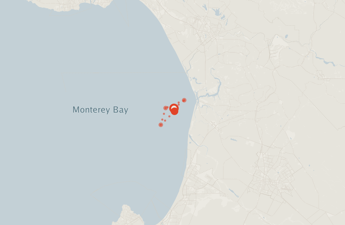 Activity map — real sighting points on an OpenStreetMap basemap