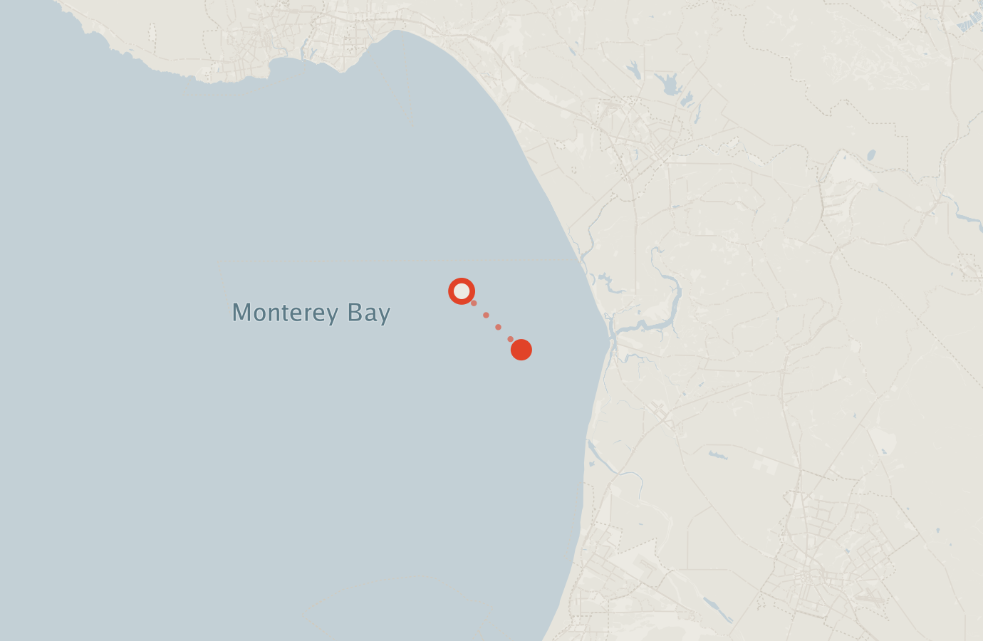 Activity map — real sighting points on an OpenStreetMap basemap