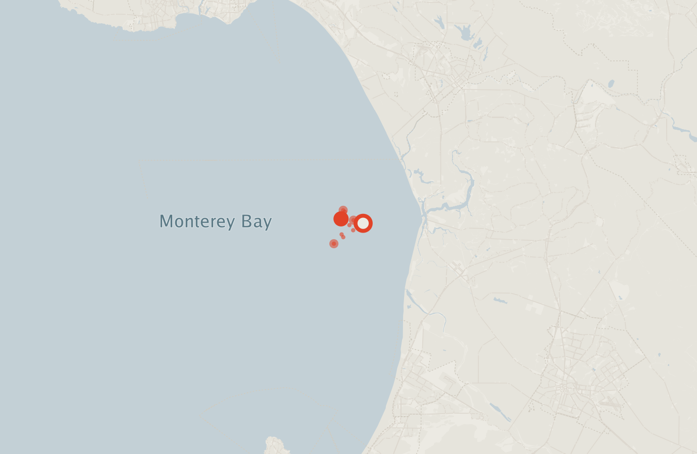 Activity map — real sighting points on an OpenStreetMap basemap